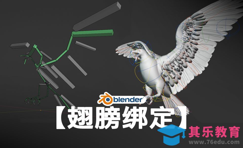 【Blender翅膀绑定】rigify绑定，鸟类绑定，快速从0开始完成绑定，超容易上手[虎课网Blender视频教程][Blender建模教程MP4教程全集 ]-第1张图片-我要自学网