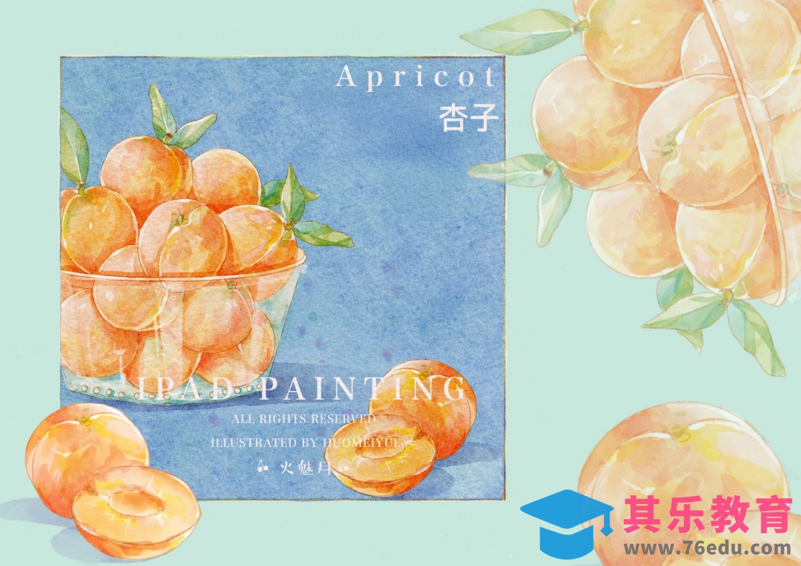 Procreate-iPad绘画水彩风水果-黄杏[虎课网绘画插画视频教程][ipad商业插画MP4教程全集 ]-第1张图片-我要自学网