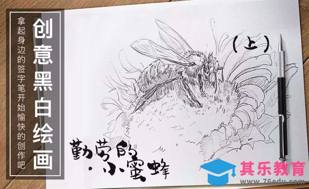 勤劳的.小蜜蜂（上）-针管笔手绘插画[虎课网绘画插画视频教程][ipad商业插画MP4教程全集 ]-第1张图片-我要自学网