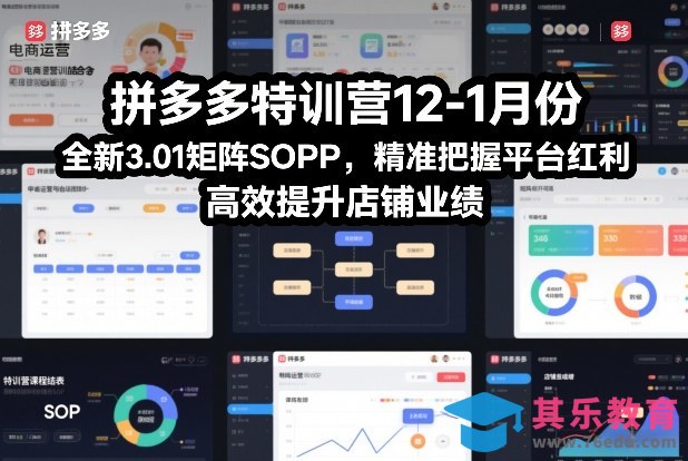 拼多多特训营12-1月份，全新3.01矩阵Sop，精准把握平台红利，高效提升店铺业绩-第1张图片-我要自学网