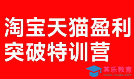 玺承·淘宝天猫盈利突破特训营(25年12月线下课)【音频+字幕】-第1张图片-我要自学网