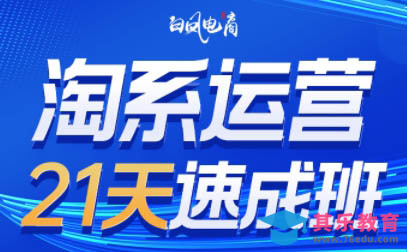 白凤电商·淘系运营21天速成班(更新4月)-第1张图片-我要自学网