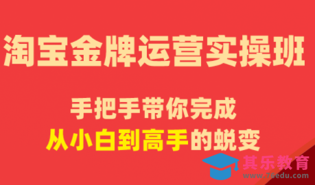 飓风电商·淘宝金牌运营实操班-第1张图片-我要自学网