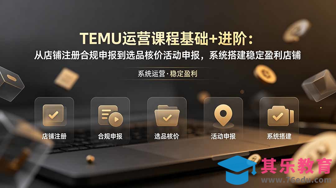 TEMU运营课程(基础+进阶-第1张图片-我要自学网