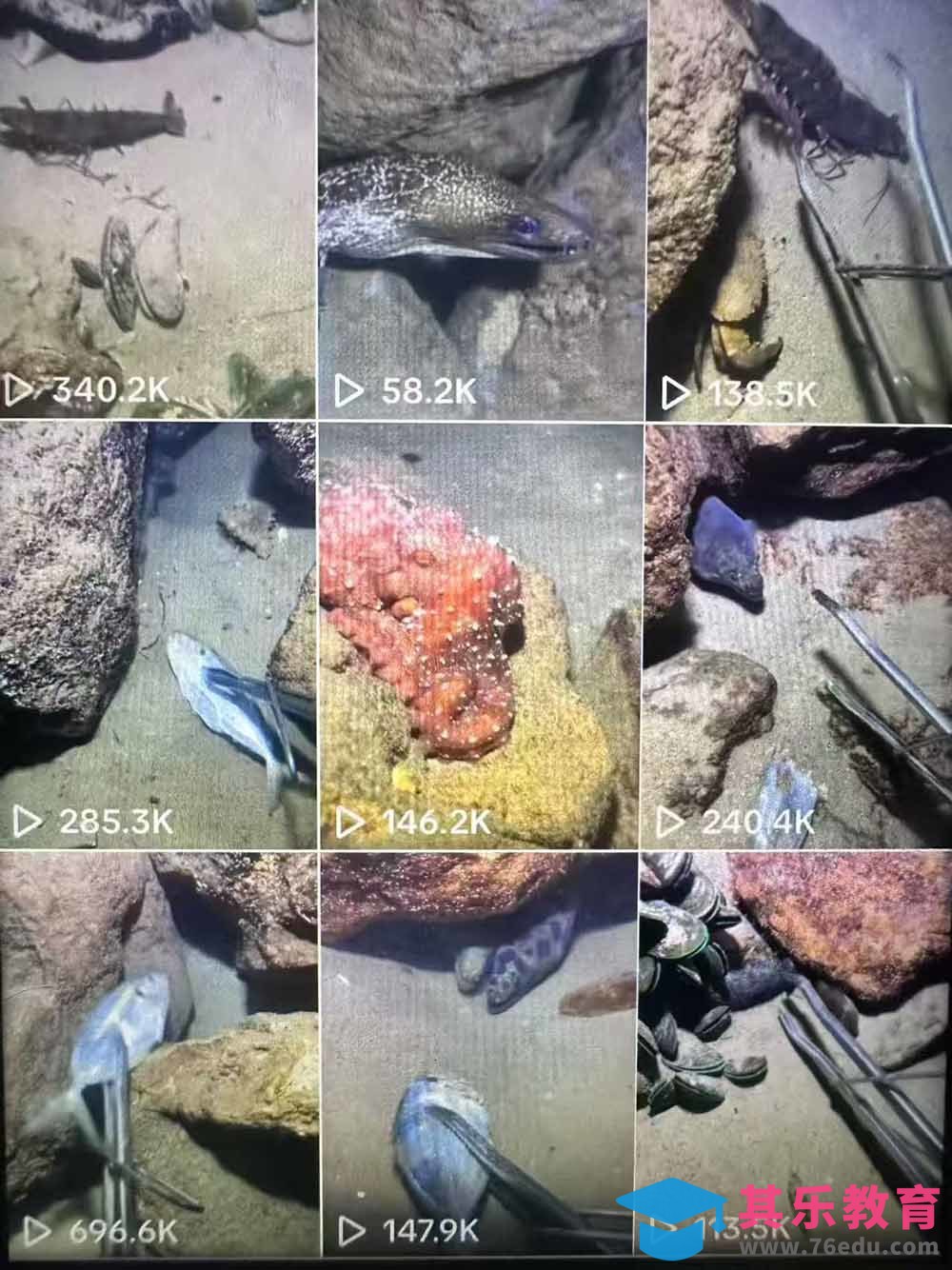 Tiktok中视频解说教程，体育+温情文案双赛道实操教程一站式带你落地-第2张图片-我要自学网